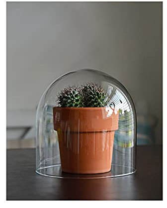 EMH Small Mouth Blown Clear Circular Glass Display Cloche Dome 16 x 15 cm