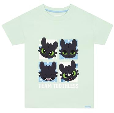 How To Train Your Dragon Camiseta Niña, Camiseta Manga Corta Niña Toothless, Ropa De Niños para Verano, Camisetas Niño De Algodón, Verde 10-11 años