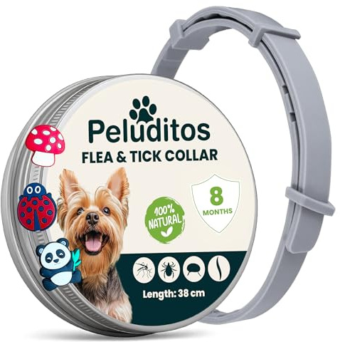 Collar antiparasitario Natural para Perros pequeños– protección hasta 8 Meses contra pulgas y garrapatas – Ajustable y Suave con su Piel + 3 Charms Decorativos de Regalo