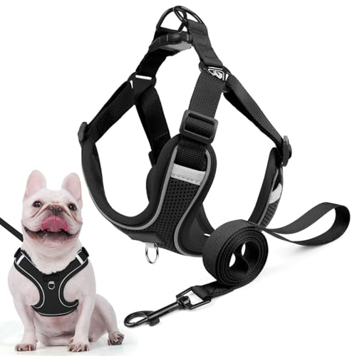 Hundegeschirr für Kleine Mittelgroße Hunde, Anti Zug Reflektierend Welpengeschirr mit Leine, Verstellbar Air Mesh Atmungsaktiv Brustgeschirr für Hunde Gassigehen, Training und Reisen (Schwarz, L)