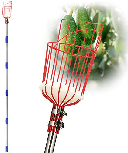 DnSail - Raccoglitore per frutta con cestino telescopico, regolabile, manico lungo 89-172,7 cm, per mele, arancia, avocado, ghianda, limone, pera, pomelo, chery
