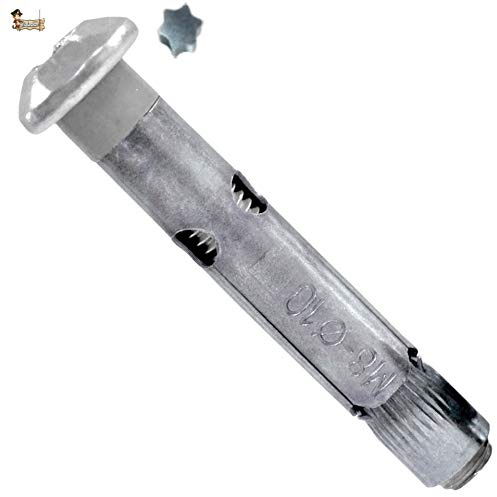 BricoLoco Anclaje metálico de expansión con tornillo inviolable. Para fijación de barrera parking, postes, rejas… (25, 8x80 (para broca 10 mm.))