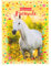 goldbuch 43 117 Freundebuch Chiara, Motiv Pferd, Maße 15 x 21 x 1,5 cm, Poesiealbum mit 84 illustrierten Seiten, Einband aus Kunstdruck, Freunde-Buch in Gelb