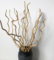 Rami di salice ricci, rami di salice ricci, 100% naturale, decorativi, 15 steli, bianchi, 58 cm, per la decorazione della casa (beige)