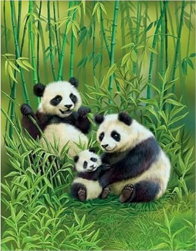 RUIYANMQ Jigsaw Puzzles 1000 Pièces Bois Image Animaux Panda pour Adultes Jeux Familiaux Jouets Éducatifs Gt99Vy