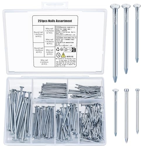 251 Pièces Assortiment de Clous, Clous Muraux en Béton, Pointes et Cclous d’Accrochage pour Accrocher Images Travail du Bois