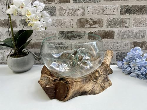 20-24cm Glass Bowl - Molten Glass & Teak Wood Root - Fruit Nuts Display Pot Pourri