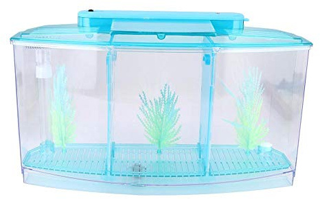 Mini Aquarium Tre divisioner Små fiskuppfödning Isoleringslåda Akrylfisk räkor Kläckeri med LED-ljus och lysande vattengräs (blå)