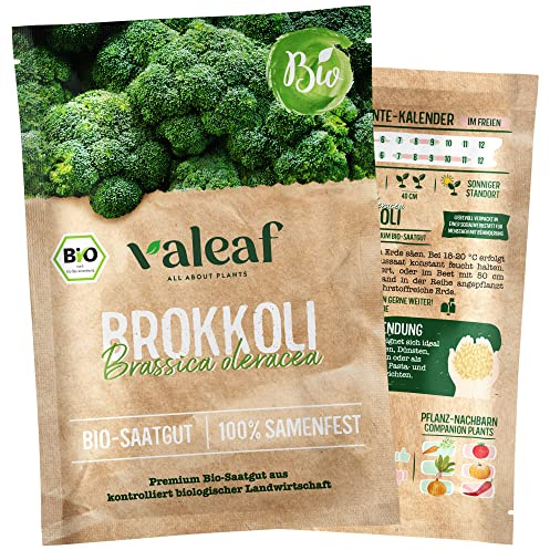 valeaf BIO Gemüse Samen I Premium Gemüsesamen zur Gemüse Anzucht im Garten, Balkon und Hochbeet I samenfestes Gemüse Saatgut I Pflanzen Samen zum Gemüse Pflanzen (Brokkoli (BIO))
