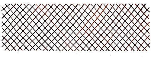 Nature by Kolibri, 5 graticci in legno per rampicanti, protezione dagli sguardi indiscreti, variabili fino a 120 x 40 cm