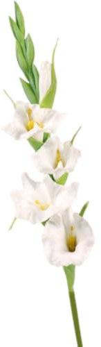Tall Gladiolus Branches PU Floral Art - Real Touch Handmade Fake Flowers for Wedding Arch/Reception, Home Office Decor, Flower Arrangement(White)
