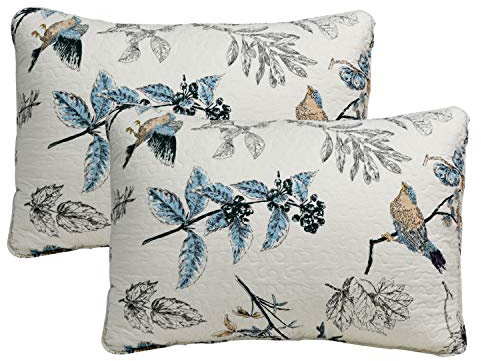 Brandream 100% Cotton Quilted Pillow Shams 2-Piece Standard Size American Country Birds Printing Pillow Shams Bedroom Decor, Beige