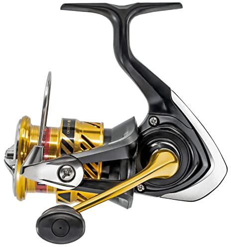Daiwa 20 Crossfire LT 2500 4BS A - Spinnrolle, Angelrolle zum Fischen auf Zander & Barsche, Stationärrolle