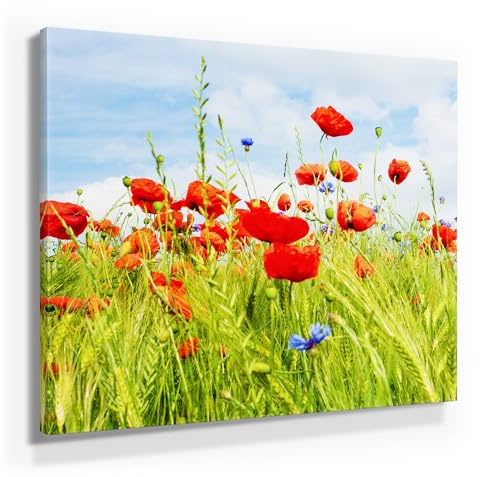 BilderKing Wunderschönes Mohnblumen Bild 50x50cm klein, Fotomotiv Mohn im Sommer – Elegantes Leinwand Wandbild als Hintergrund und Deko für Wohnzimmer & Schlafzimmer. Aufgespannt auf 2cm Holzrahmen