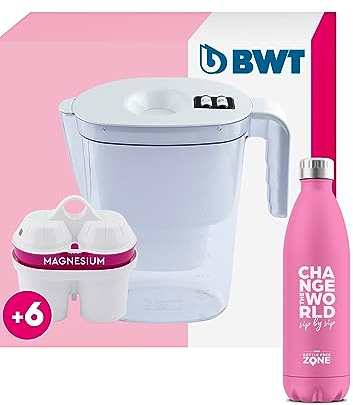 BWT Wasserfilter Vida 2,6L | Filter mit 6 Magnesium Filterkartuschen & Climate Bottle | Wasserfilter Trinkwasser | Filtert Kalk, Chlor, Blei & Kupfer