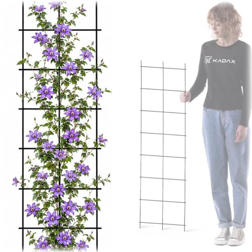 KADAX Rankgitter, Rankhilfe aus Stahl, Wandgitter für Pflanzen, Garten, Balkon, Terrasse, Drahtgitter, Kletterhilfe, Pflanzengitter, Spalier, wandbefestigung, schwarz (35 x 120 cm)