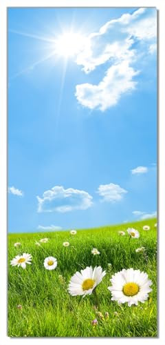 Wallario Selbstklebende Türtapete Sommerwiese - Weiße Gänseblümchen vor blauem Himmel - Türposter 100 x 220 cm Abwischbar, rückstandsfrei zu entfernen