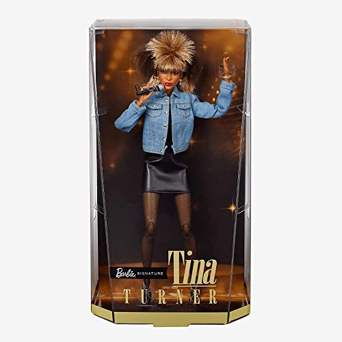 Barbie HCB98 - Signature Musik Serie, Tina Turner Puppe, Spielzeug Geschenk für Kinder ab 6 Jahren und Erwachsene Sammler
