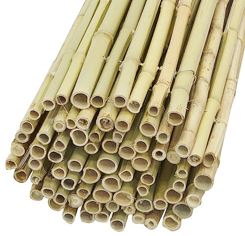 Canisse en Bambou 1.8 x 1 m