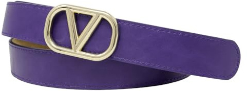 Zakatte • Damen Gürtel aus Kunstleder mit V-Schnalle Hüftgürtel Taillengürtel BS069 (Lila-Gold, 100 cm)