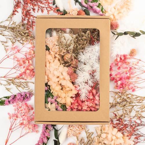 LAUMOE Getrocknete Blumen, Trockenblumen, Trockenblumen Zum Basteln Mini Trockenblumen Bunt Trockenblume Set für Tischdeko DIY Epoxidharz Scrapbook Zubehör (H6)