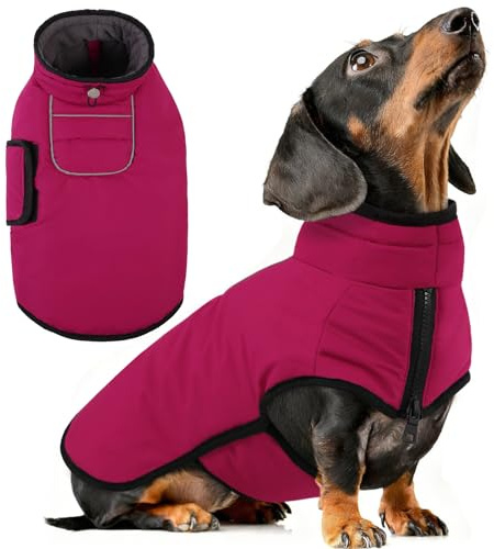 AOFITEE Kleiner Hundemantel, Warme Hundewinterjacke für Extra Kleine Hunde, Reflektierende Rollkragen-Hundeweste mit Integriertem Geschirr,wasserdichte Hundeschneejacke für Chihuahua, Yorkshire