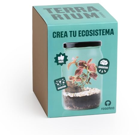 Kit Terrarium | CREA Tu Propio Terrario en Casa | Mini Jardín con Plantas y Ecosistema Natural | Regalo Original y Decorativo | Resetea