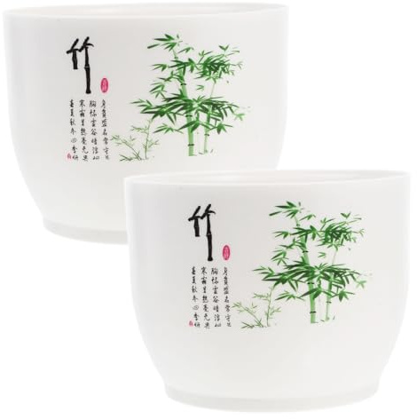 Milisten 2pezzi Da in Plastica Riutilizzabile Contenitore Per Piante Acquatiche Fioriera Decorativa Per Esterni Vasi Per Piante Idroponiche Ciotola Per Piantare in