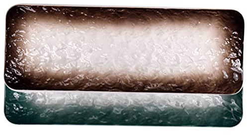 Alipis Piatti Da Sushi in Ceramica Multifunzione, Vassoi Rettangolari Per Sashimi e Snack, Set 2 Pezzi 25 Cm, Lavabili in Lavastoviglie, Per Ristorazione e Uso Domestico