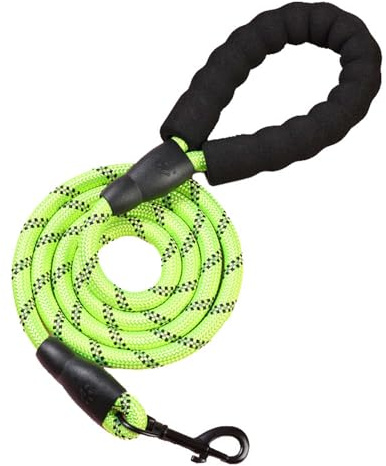 Laisse réfléchissante de 1,5 m de Long, Solide et Durable, adaptée aux Chiens de Taille Moyenne et Grande, Qui reflète la lumière dans Les Situations Sombres. (Vert, 1.5 m)