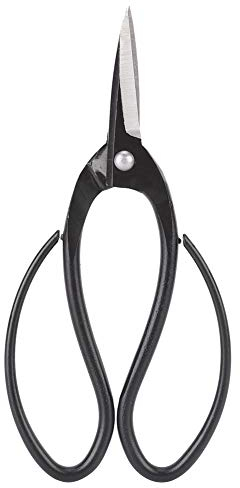 Tyenaza Bonsai Schere Blumenschere, Pflanzenschere Blattschere Astschere Wurzelschere zum Arrangieren von Blumen, Beschneiden von Pflanzen 195 mm, Hochwertige Stahlklingen/Kunststoff Griff