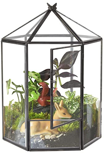 ELEGANTLIFE Geometrisches Pflanzenterrarium aus Glas, Sukkulenten und Luft-Pflanzgefäß für Zuhause, Garten, Büro, Dekoration, Keine Pflanzen (schwarz, sechseckig)