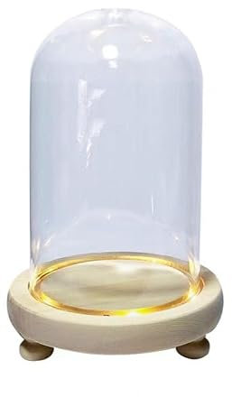 Tabletop Display Case,Clear Glass Dome Cover,1 Pack Of Glass Dome Cloche Bell Jars With Wooden Bases - Clear Decorative Tabletop Display Cases With Stands For LED Lights(12 * 30cm)