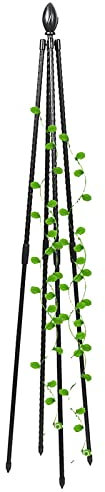 Obelisk Garten Rankgitter für Kletterpflanzen im Topf Indoor Outdoor Tomatenkäfige Metallständer mit Rostfrei Beschichtung Gartengitter für Weinreben Blumen Rosen