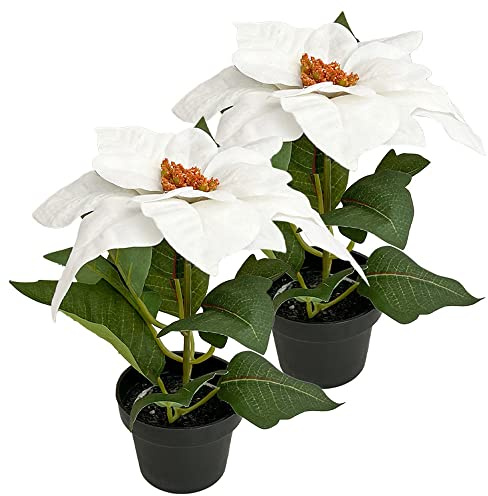 Murago - Künstlicher Weihnachtsstern ca.20cm - Weiß - mit im Topf Kunstblumen Kunstpflanzen Blümchen Topfflanze für Weihnachten weihnachtliche Weihnachtsdekoration Blüte