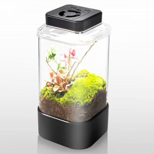 REPTI ZOO Insect Terrarium, 4 x 4 x 6 Insect Breeding Box with LED Lighting & Fan System, Glass Terrarium Tank for Spiders, Snail, Mantis and Small Reptiles