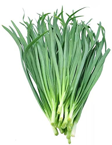 Chinese Chive Seeds Leek Seeds for Planting(500 Seeds)