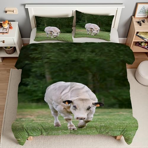 Piumino Matrimoniale Mucca Trapunte Prateria Piumone Imbottito Resistente Lavabile, Super Morbida Trapunta, piumini 240x260 cm in Microfibra Reversibile e 2 Federa 50x80 cmT1278