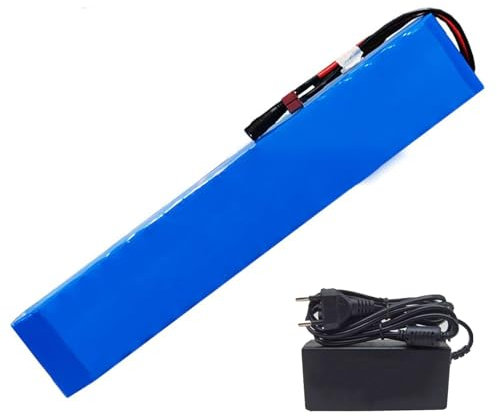 48V 20AH E-Bike Lithium Battery with Charger,13S3P Ebike Battery Pack Electric Bicycles Battery for Scooters Cars Motorcycles(T+DC)