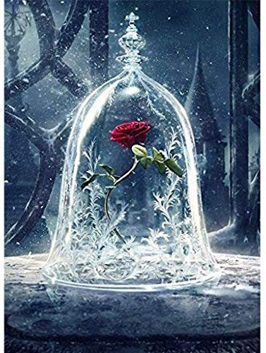 sunhoyu DIY 5D Diamant Painting, Full Malerei Crystal Strass Stickerei Painting Diamond Dekoration für Home Wall Décor, Vogelkäfig 5#