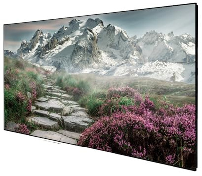 DELUXX Cinema Rahmenleinwand SlimFrame 221 x 124cm, 100 - SOUNDVISION