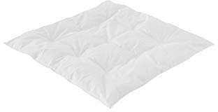 Träumeland T060562 babyfilt/sängfilt 'Dunlätt' – året runt filt med 100% dunfyllning, Downpass-certifierad, 80 x 80 cm, vit
