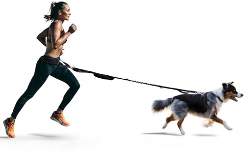 FITLY Dog Running Waist Belt - Dual-Point Force Distribution System - Hands-On-Hips Canicross Harness for Running, Walks, Hikes - Convertible Design with Storage Pouch & Bungee Damper - Nifty Black