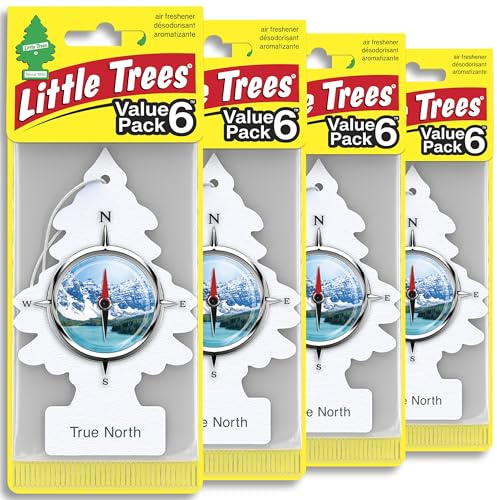 LITTLE TREES Lufterfrischer Auto Lufterfrischer Hängender Baum bietet lang anhaltenden Duft für Auto oder Zuhause True North 24 Lufterfrischer