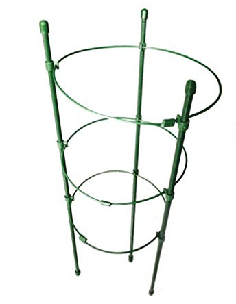 Rankgitter Pflanzenstütze Metall Staudenhalter Strauchstütze Rankhilfe Rankstütze für Garden Pflanzen Rose Tomaten Gurken Sträucher Lilie Pfingstrose Hortensie 45cm 4 Stück