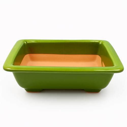 MACETA TERRINA BONSAI BARRO ESMALTADO COLORES (21.5 X 14.5 X 7 CMS, VERDE)