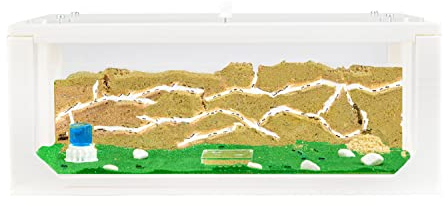 AntHouse - Natürliche Ameisenfarm aus Sand Weiß | 3D Big Starter Set 30x15x10 cm | Ant Farm | Inklusive Ameisenkolonie