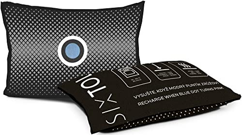 SIXTOL DRY CAR ONE Cojín para deshumidificación del coche, 350 g, gris