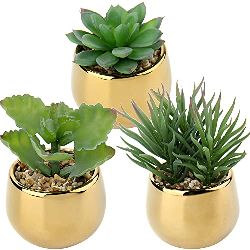 Briful 3 PCS Kunstpflanze Sukkulenten Künstlich Frühlingsdeko Zimmerpflanzen Kunstblumen im Keramiktopf Deko Wohnzimmer Garten Balkon Schlafzimmer Badzimmer