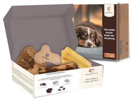 Wildfang® Welcome Little Love Hundtugg Set – Naturliga hundleksaker & valpleksaker med olivträ, ljungrot, tuggben hund i läder & hårdost provpack